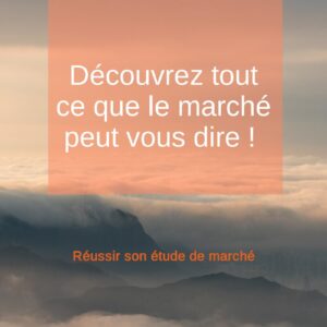 Une étude de marché en immersion - Methodologie + sources + exemple